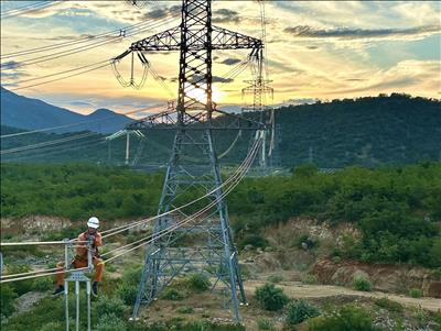 Tăng cường kiểm tra, bảo dưỡng đường dây 500kV đảm bảo cung cấp điện an toàn, ổn định và liên tục
